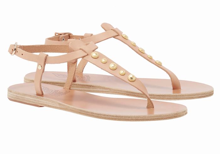 Sandales Bride Arrière Ancient Greek Sandals Lito Bee   | AAW-0390896